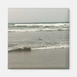 Bullards Beach State Park, Bandon, Oregon Magnet