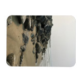 Bullards Beach State Park, Bandon, Oregon Magnet (Horizontal)