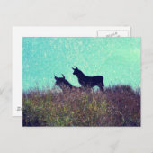 Bullberg Postkarte (Vorne/Hinten)