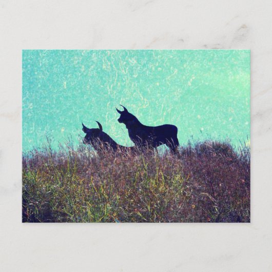 Bullberg Postkarte (Vorderseite)