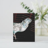 Bulldgie Postkarte (Stehend Vorderseite)