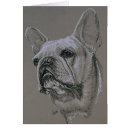 Bulldog