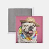 Bulldog (18 Monate alt) mit Strohhalm Magnet (Vorderseite/Rückseite)