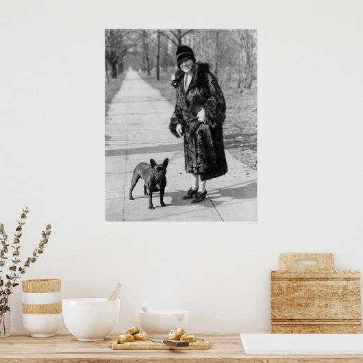 Bulldog, 1920er poster (Küche)