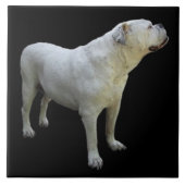 BULLDOG 1, Liebe für Haustiere, Bester Freund Fliese (Vorderseite)