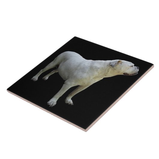 BULLDOG 1, Liebe für Haustiere, Bester Freund Fliese (Seite)