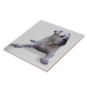 BULLDOG 2, Liebe für Haustiere, Bester Freund Fliese (Seite)