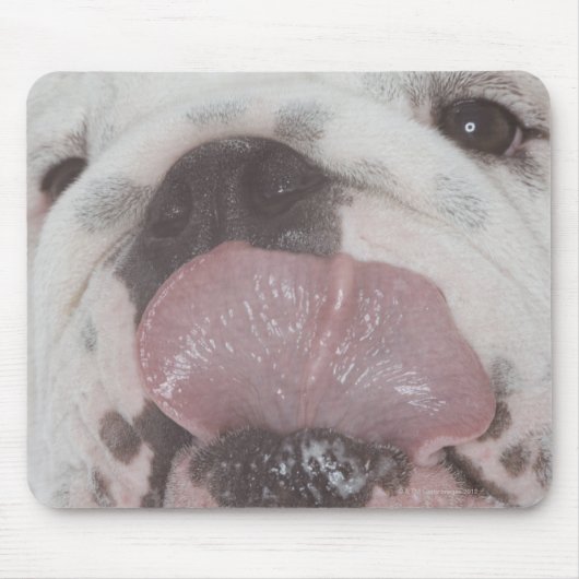 Bulldog 2 mousepad (Vorne)