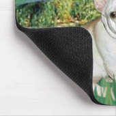 Bulldog 3 - Bridge Mousepad (Ecke)
