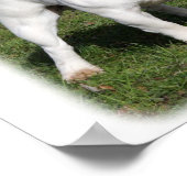 Bulldog 9Y202D-134 Poster (Ecke)