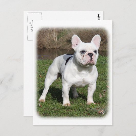 Bulldog 9Y202D-134 Postkarte (Vorne/Hinten)