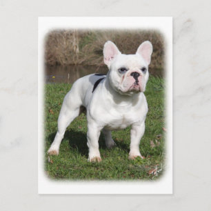 Bulldog 9Y202D-134 Postkarte