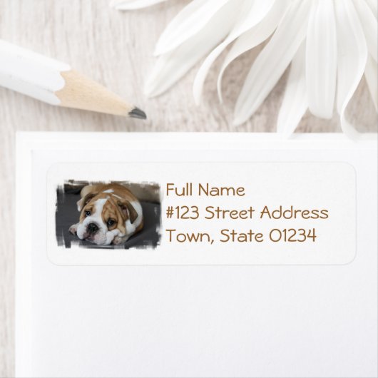 Bulldog-Adresslisten (Insitu)