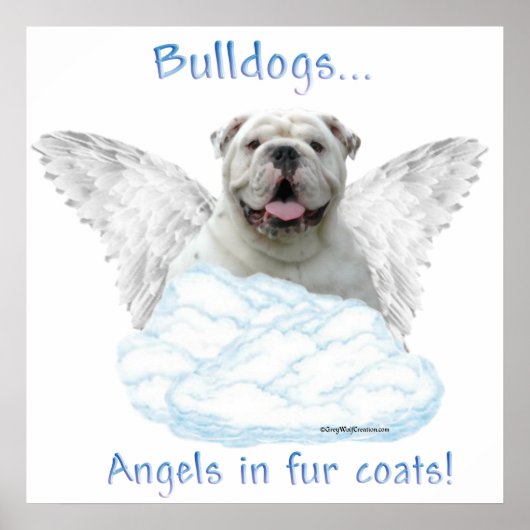 Bulldog Angel Poster (Vorne)