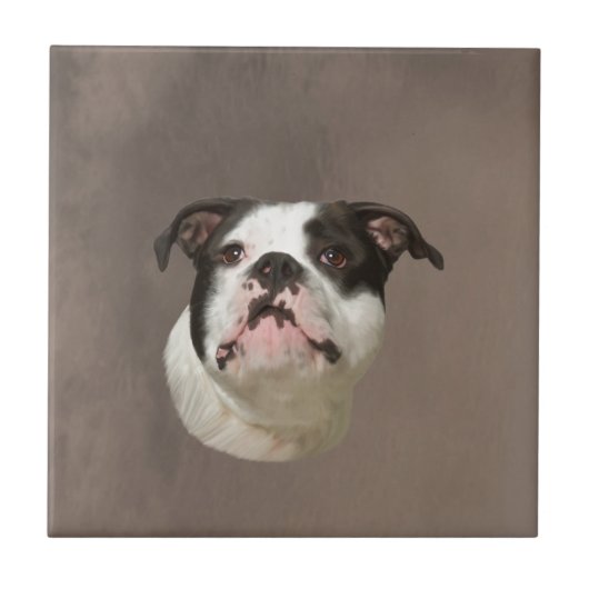 Bulldog Aquarellmalerei Fliese (Vorderseite)