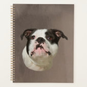 Bulldog Aquarellmalerei Planer (Vorderseite)