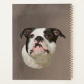 Bulldog Aquarellmalerei Planer (Rückseite)