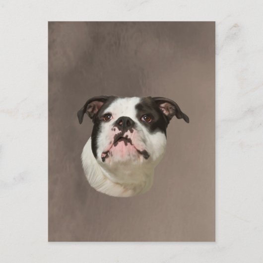 Bulldog Aquarellmalerei Postkarte (Vorderseite)