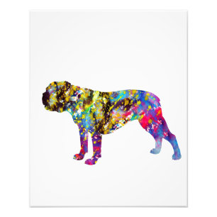 Bulldog Art Watercolor Portrait Fotodruck