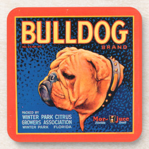 Bulldog auf blauem Hintergrund Getränkeuntersetzer