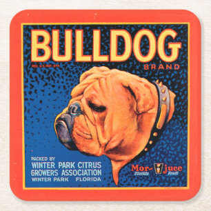 Bulldog auf blauem Hintergrund Rechteckiger Pappuntersetzer