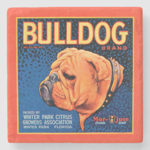 Bulldog auf blauem Hintergrund Steinuntersetzer