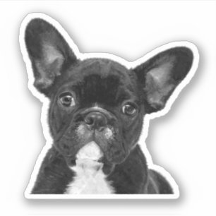 Bulldog Aufkleber