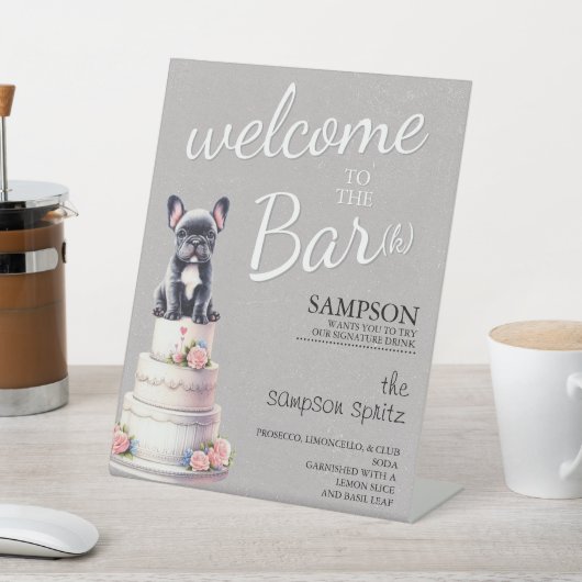 Bulldog-Bar Sockelschild (In SItu)