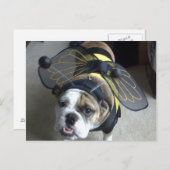 Bulldog Bee Postkarte (Vorne/Hinten)
