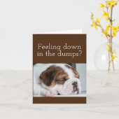 BULLDOG BEKOMMEN GUTE KARTE (Gelbe Blume)