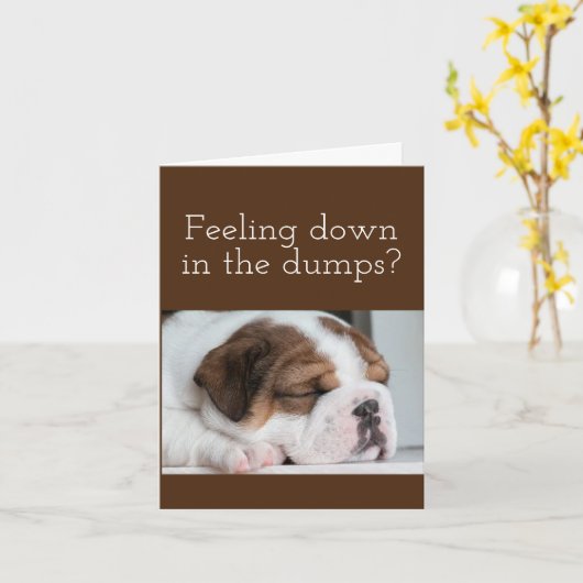 BULLDOG BEKOMMEN GUTE KARTE (Gelbe Blume)