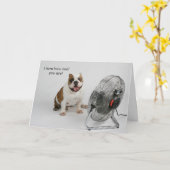 Bulldog Birthday card Karte (Gelbe Blume)