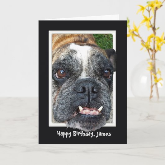 Bulldog Birthday Karte (Gelbe Blume)