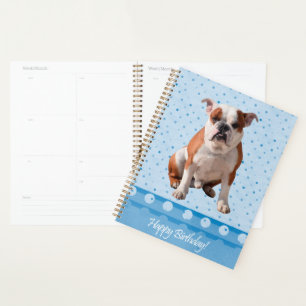 Bulldog Blue Dots Happy Birthday Planer