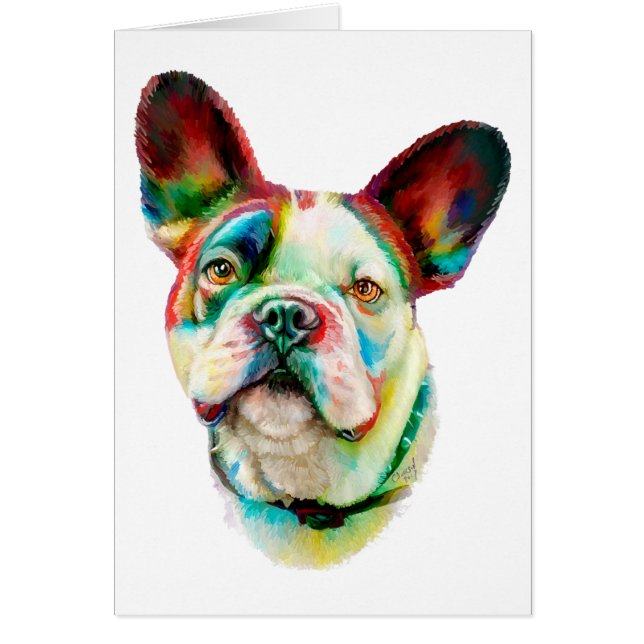 Bulldog Bright Bust (Vorne)