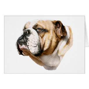 Bulldog Bust