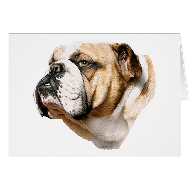 Bulldog Bust (Vorderseite (Horizontal))