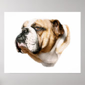 Bulldog Bust Poster (Vorne)