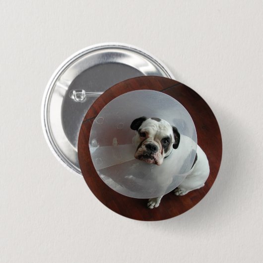 Bulldog Button (Vorne & Hinten)