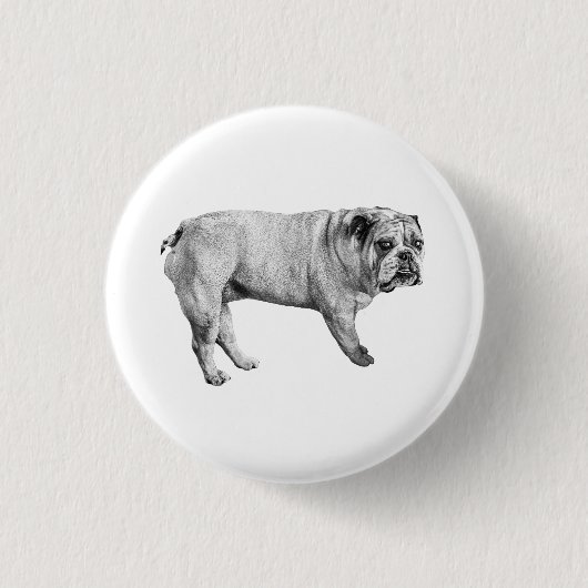 Bulldog-Button Button (Vorderseite)