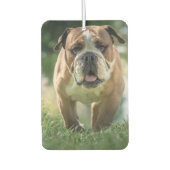 Bulldog Car Air Freshener Autolufterfrischer (Vorderseite)