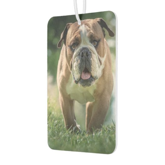 Bulldog Car Air Freshener Autolufterfrischer (Links)