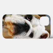 Bulldog Case-Mate iPhone Hülle (Rückseite (Horizontal))