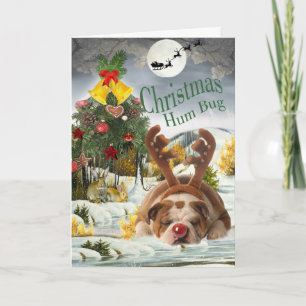 Bulldog Christmas Humbug Feiertagskarte