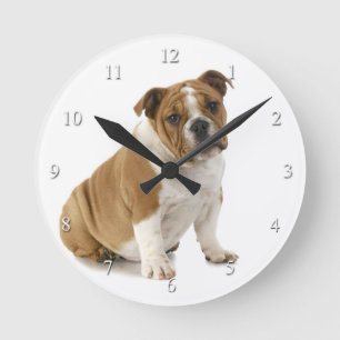 Bulldog Clock Runde Wanduhr