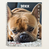 Bulldog - Daily Planner - HAMbWG Planer (Vorderseite)