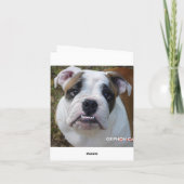 BULLDOG DENKEN, DASS DU BLANK CARD! KARTE (Rückseite)