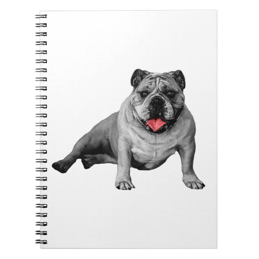 Bulldog-Design mit roten Details Notizblock (Vorderseite)