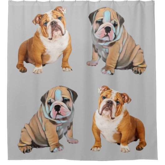 Bulldog Duschvorhang (Vorderseite)
