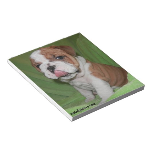 Bulldog Editor für Bull-Liebe Notizblock (angewinkelt)